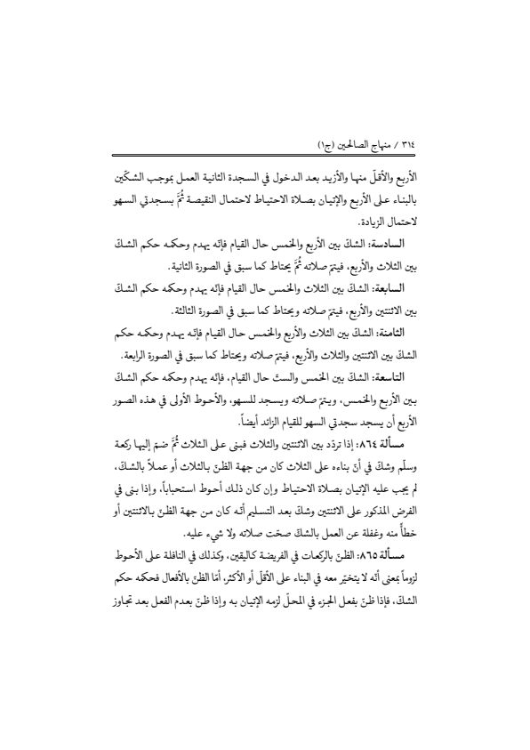 صفحة 313 — منهاج الصالحين (الطبعة المصححة 1445 هـ)