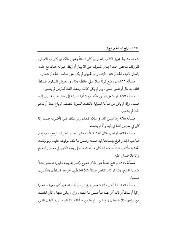 صفحة 293 — منهاج الصالحين (الطبعة المصححة 1445 هـ)